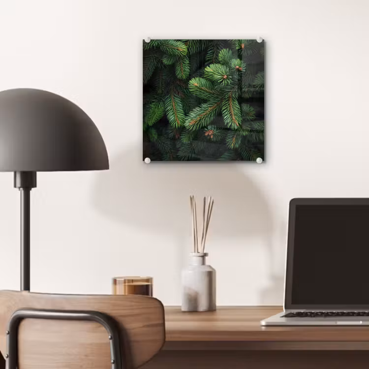 Glas schilderij - Sparrentakken - Knoppen - Naalden - Groen — 7