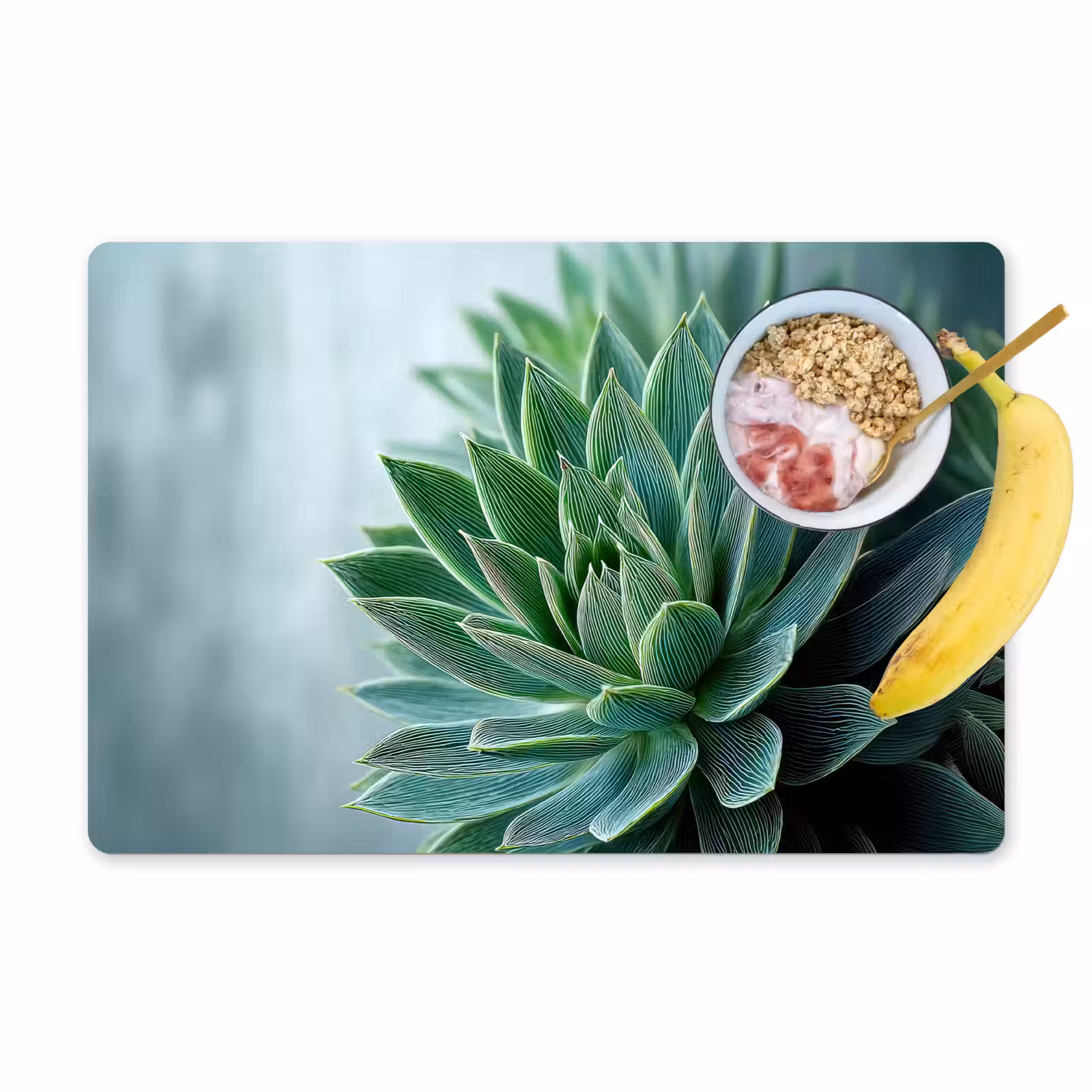 Placemat - 6 stuks - Vetplant - Bladeren - Groen - Wazig — 1