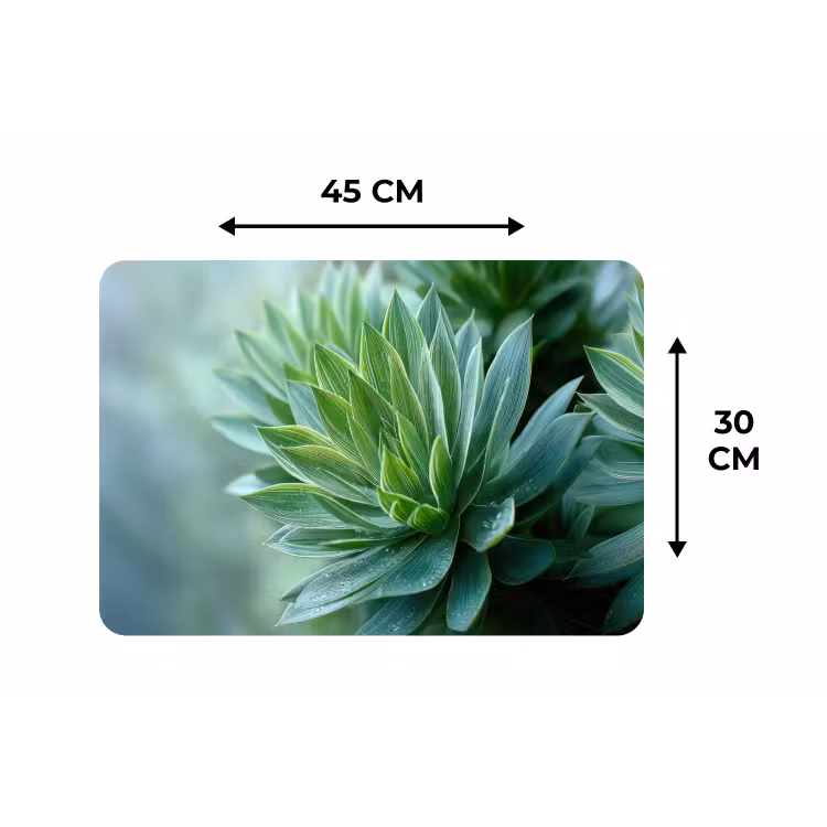 Placemat - 6 stuks - Blad - Plant - Groen - Textuur — 3