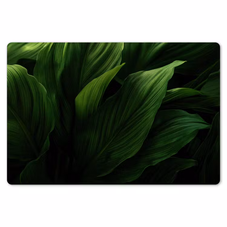 Placemat - 6 stuks - Bladeren - Schaduw - Groen - Textuur — 7