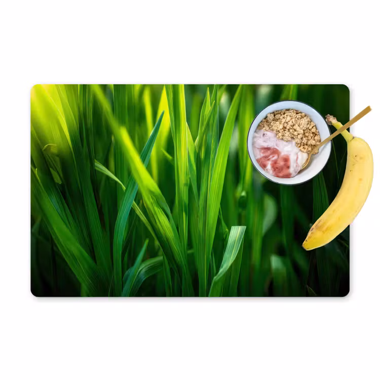 Placemat - 6 stuks - Grassprieten - Lichtinval - Groen — 1
