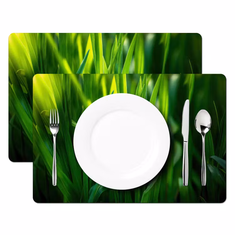 Placemat - 6 stuks - Grassprieten - Lichtinval - Groen — 2