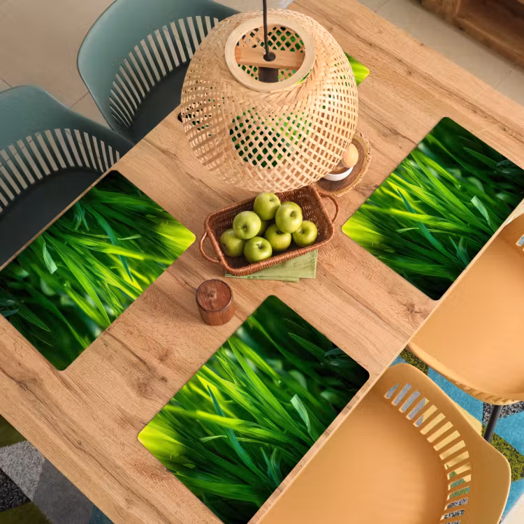 Placemat - 6 stuks - Grassprieten - Lichtinval - Groen — 6