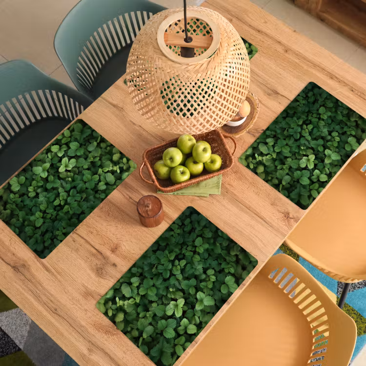 Placemat - 6 stuks - Groen - Bladeren - Kartel - Zonlicht — 6