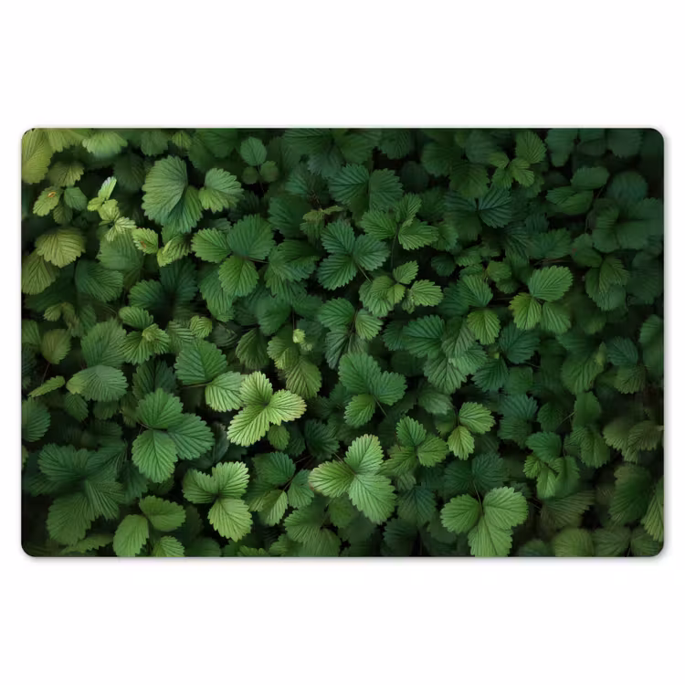 Placemat - 6 stuks - Groen - Bladeren - Kartel - Zonlicht — 7