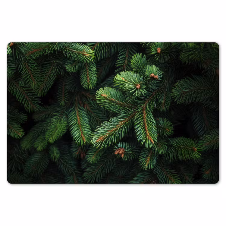 Placemat - 6 stuks - Sparrentakken - Knoppen - Naalden - Groen — 7