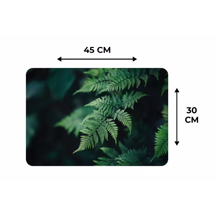 Placemat - 6 stuks - Varenblad - Groen - Structuur - Wazig — 3