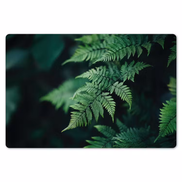 Placemat - 6 stuks - Varenblad - Groen - Structuur - Wazig — 7