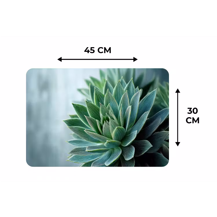 Placemat - 6 stuks - Vetplant - Bladeren - Groen - Wazig — 3