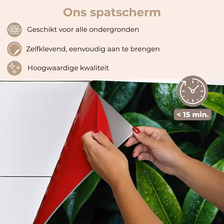 Spatscherm keuken - Bladeren - Regendruppels - Licht - Groen — 4