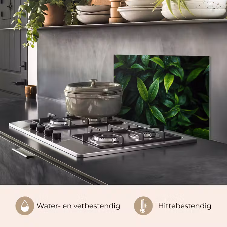 Spatscherm keuken - Bladeren - Regendruppels - Licht - Groen — 7