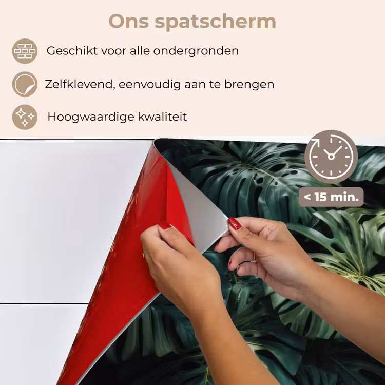 Spatscherm keuken - Plant - Monstera - Lichtinval — 4