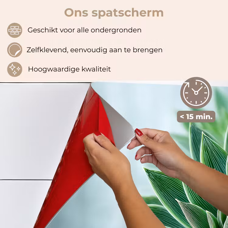 Spatscherm keuken - Vetplant - Bladeren - Groen - Wazig — 4