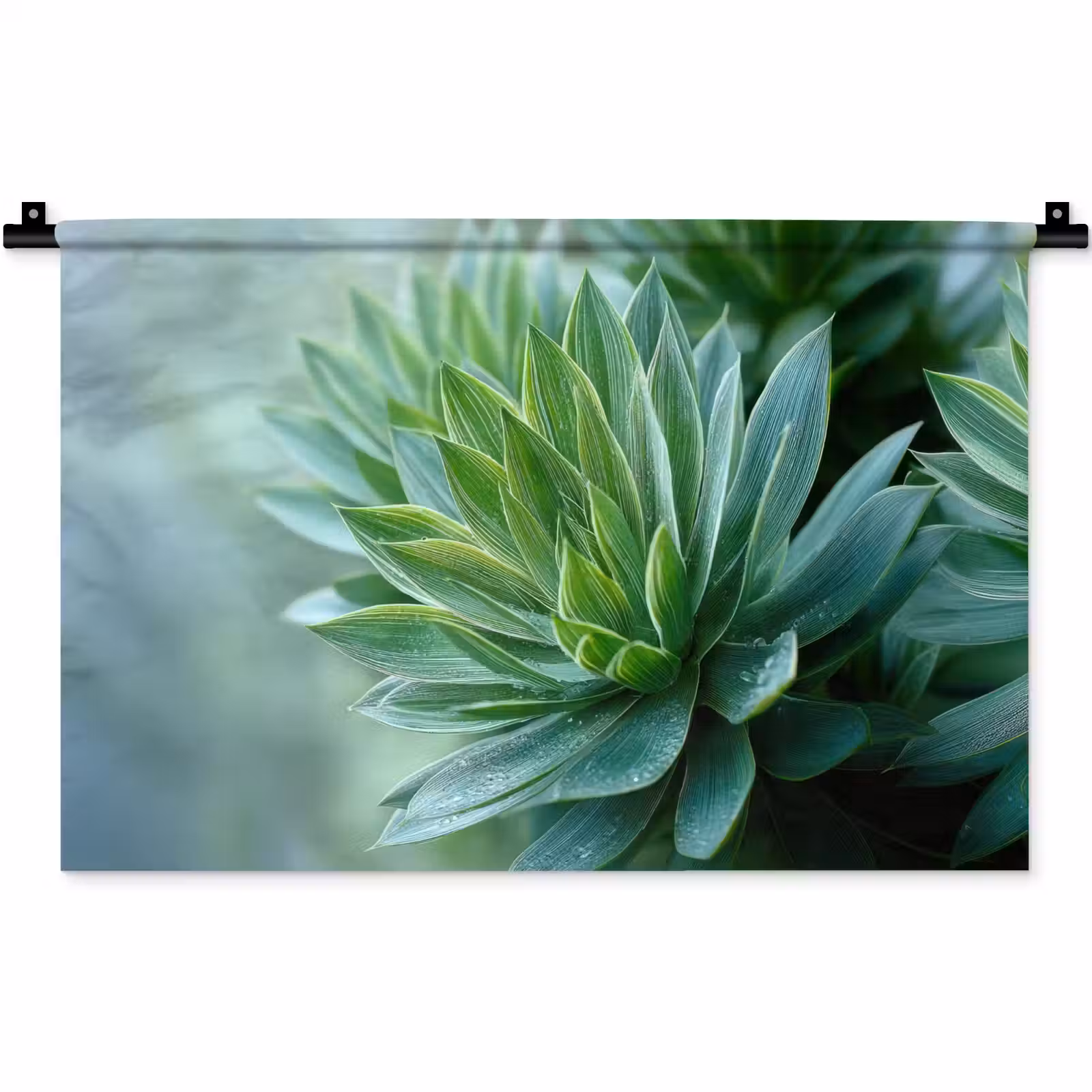 Wandkleed - Blad - Plant - Groen - Textuur — 1