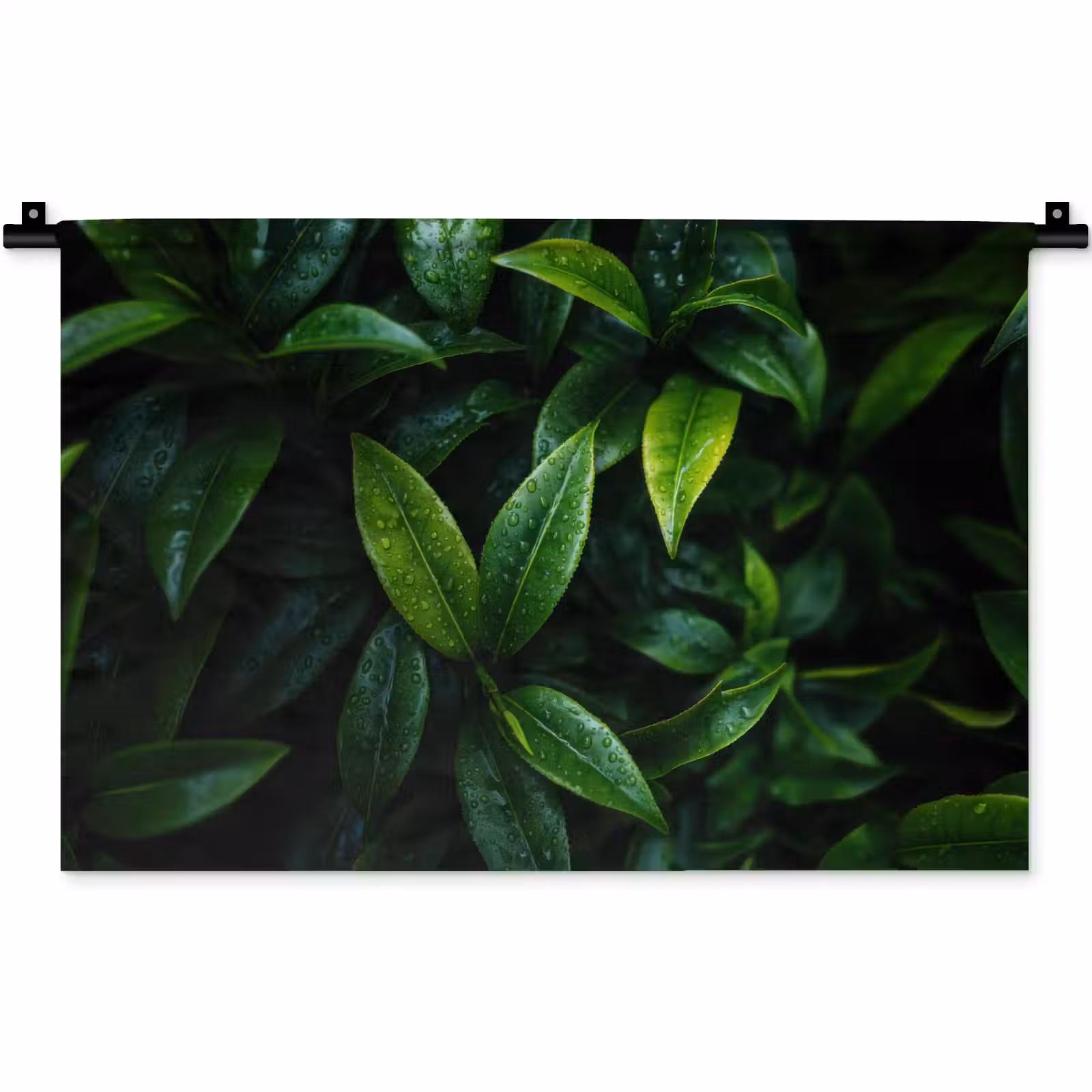 Wandkleed - Bladeren - Regendruppels - Licht - Groen — 1