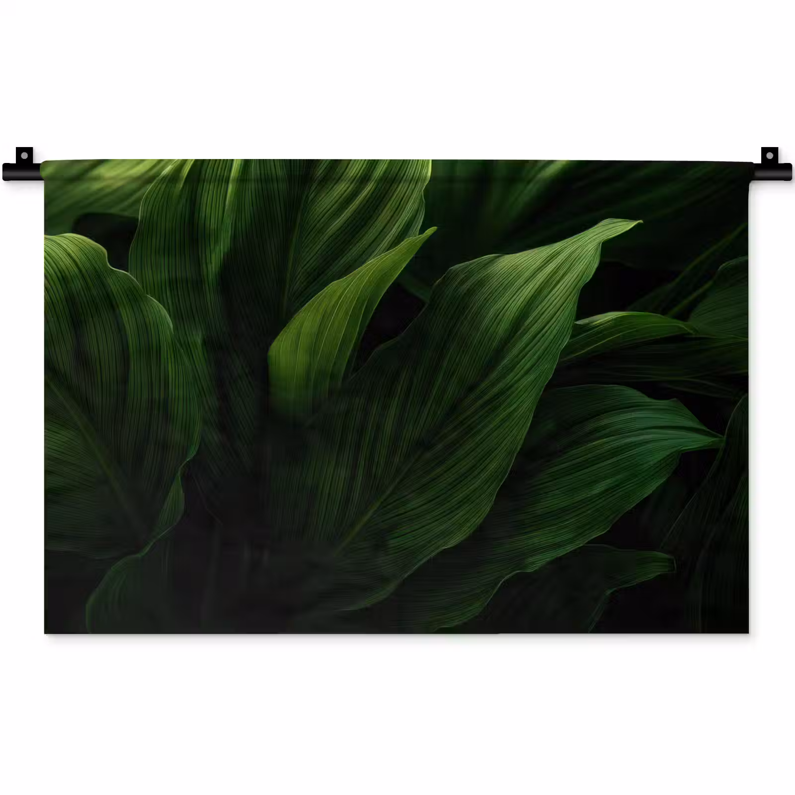 Wandkleed - Bladeren - Schaduw - Groen - Textuur — 1