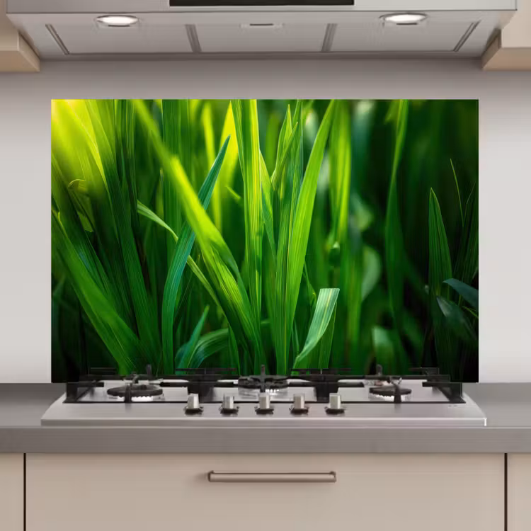 Spatscherm keuken - Grassprieten - Lichtinval - Groen — 1