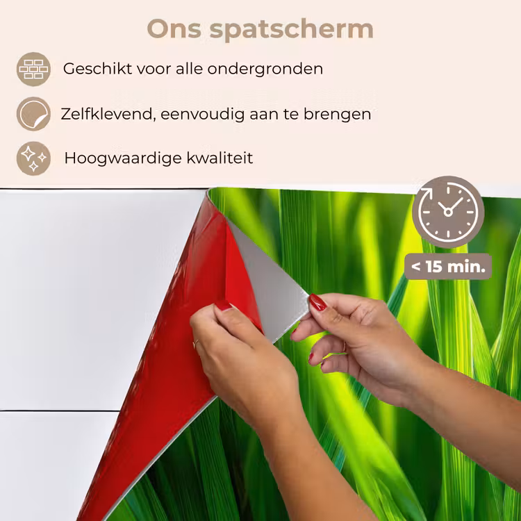 Spatscherm keuken - Grassprieten - Lichtinval - Groen — 4