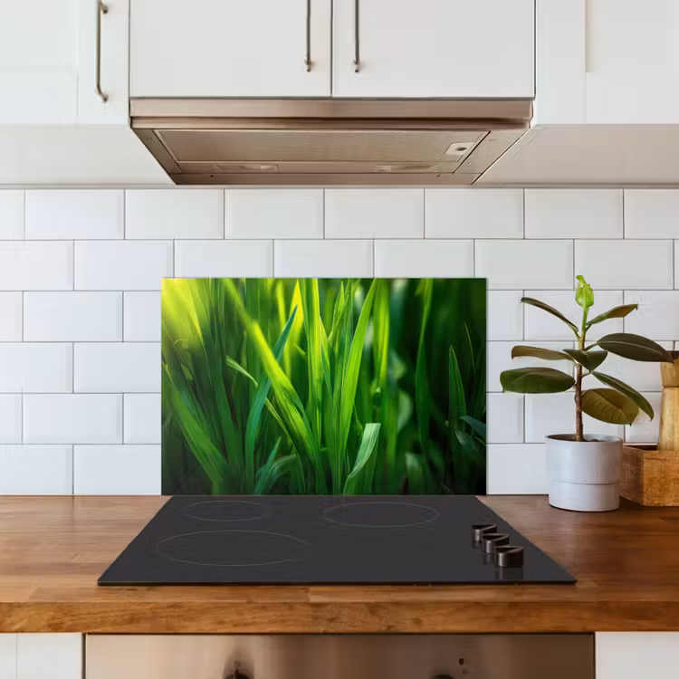 Spatscherm keuken - Grassprieten - Lichtinval - Groen — 6