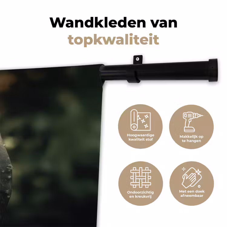 Wandkleed - Blad - Groen - Nerven - Regendruppels — 3