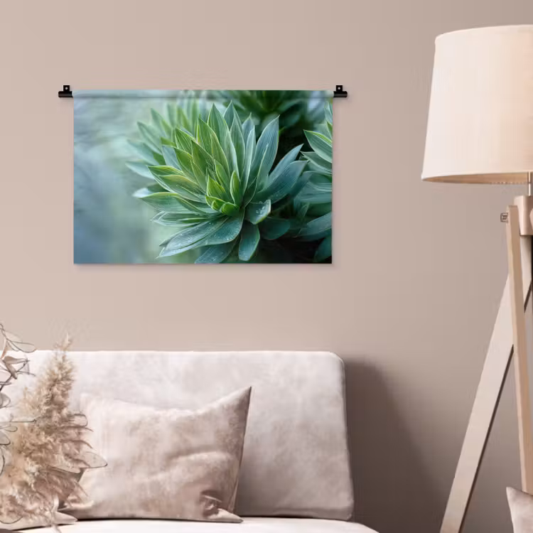 Wandkleed - Blad - Plant - Groen - Textuur — 2