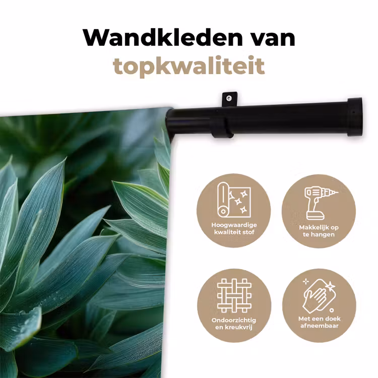 Wandkleed - Blad - Plant - Groen - Textuur — 3