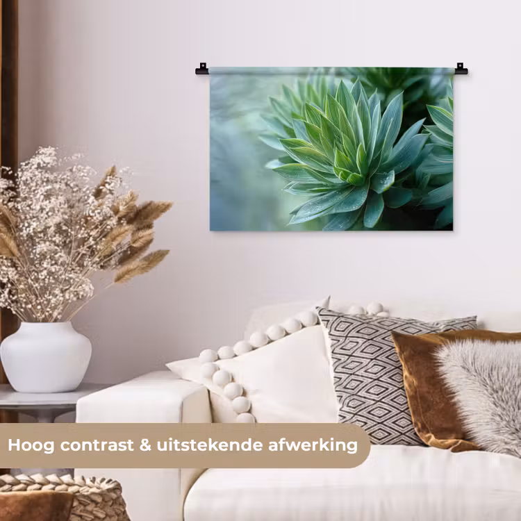 Wandkleed - Blad - Plant - Groen - Textuur — 4
