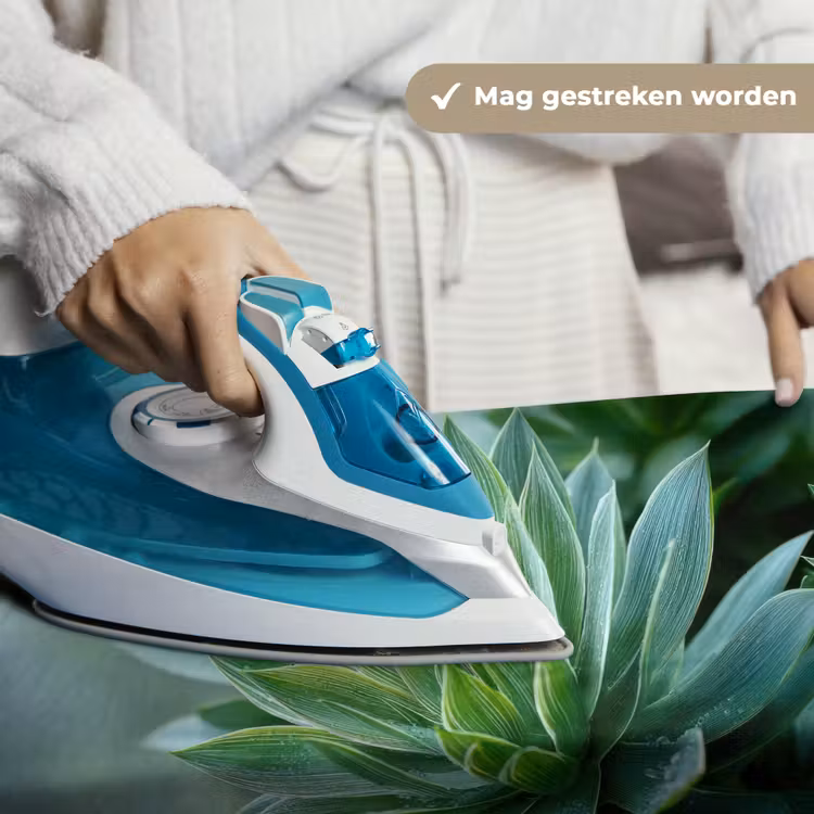 Wandkleed - Blad - Plant - Groen - Textuur — 6