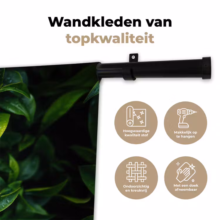 Wandkleed - Bladeren - Regendruppels - Licht - Groen — 3