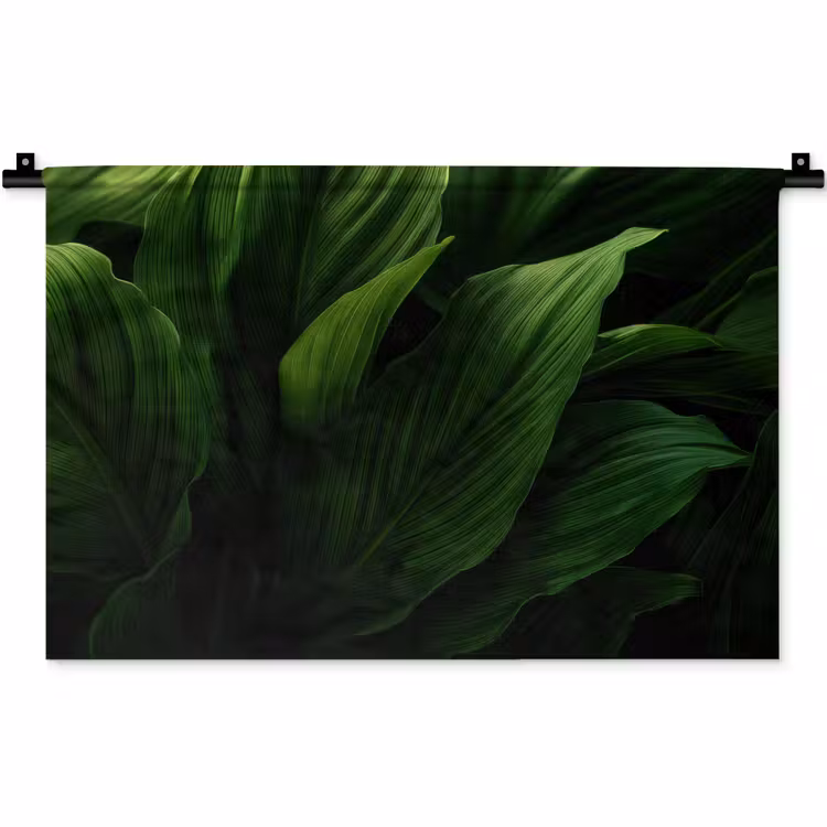 Wandkleed - Bladeren - Schaduw - Groen - Textuur — 1