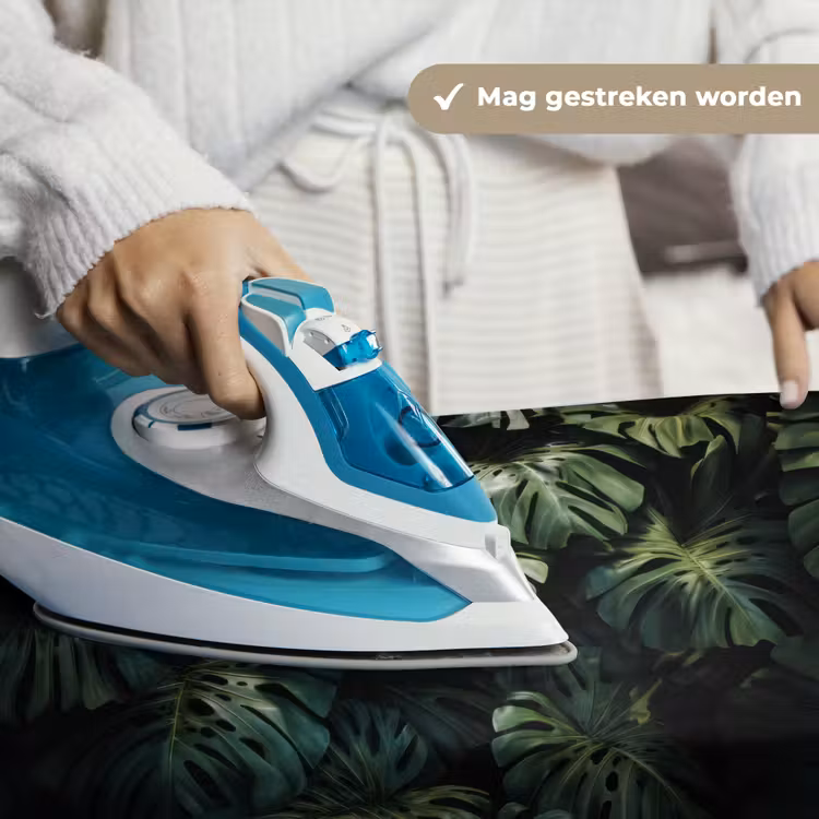 Wandkleed - Plant - Monstera - Lichtinval — 6