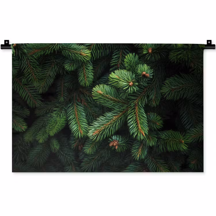 Wandkleed - Sparrentakken - Knoppen - Naalden - Groen — 1