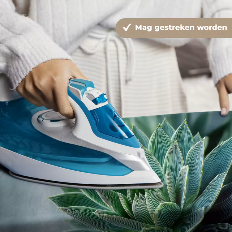 Wandkleed - Vetplant - Bladeren - Groen - Wazig — 6