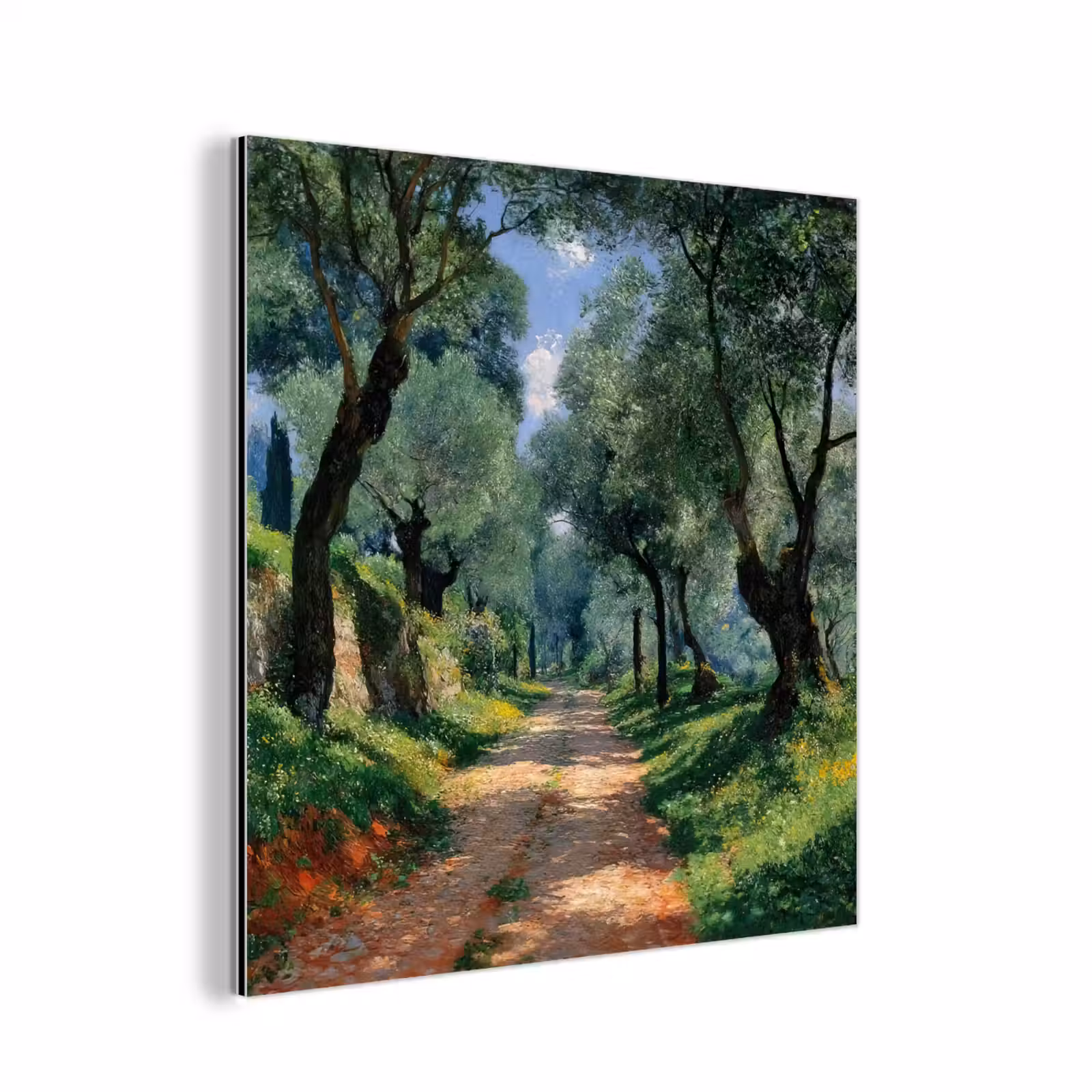 Aluminium schilderij - Pad - Bomen - Schaduw - — 1