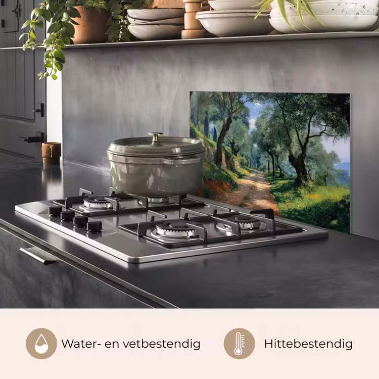Spatscherm keuken - Pad - Bomen - Schaduw - — 7