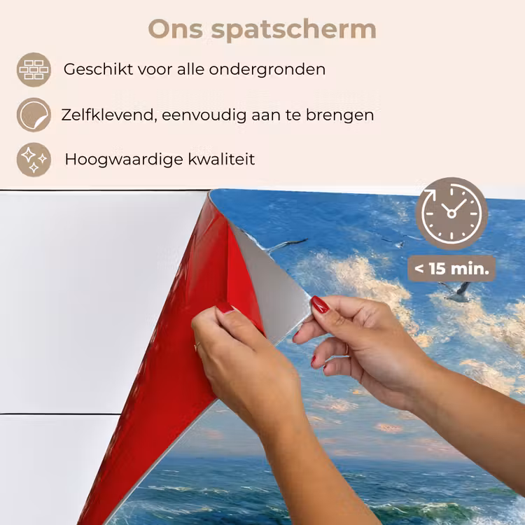 Spatscherm keuken - Zee - Golven - Rotsen - Meeuwen — 4