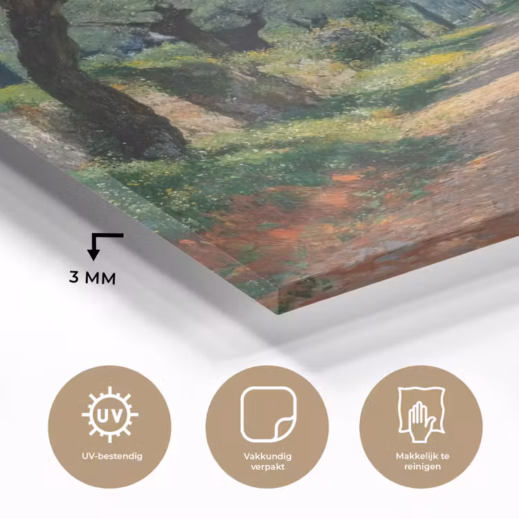 Glas schilderij - Pad - Bomen - Schaduw - — 3