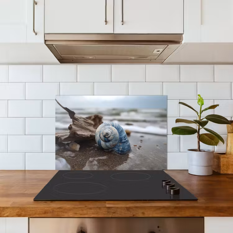 Spatscherm keuken - Schelp - Strand - Blauw - Zee — 6