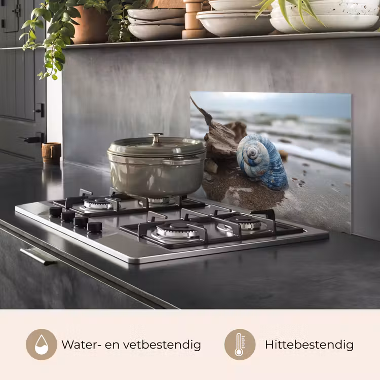 Spatscherm keuken - Schelp - Strand - Blauw - Zee — 7