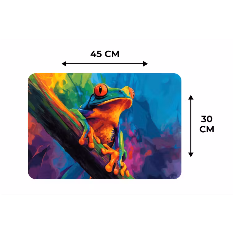 Placemat - 6 stuks - Kikker - Felgekleurd - Tak - Regenboog — 3