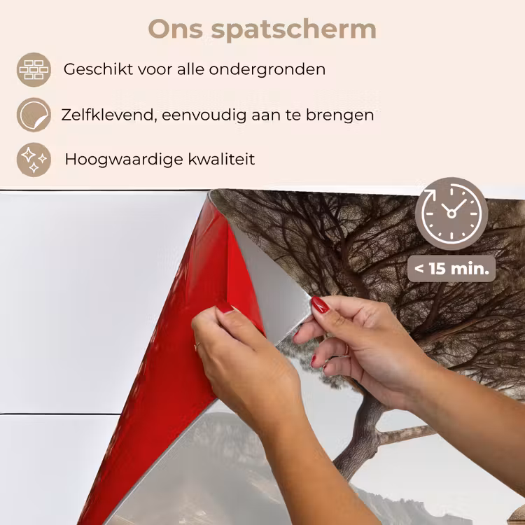 Spatscherm keuken - Kust - Klif - Boom - Gebouw — 4