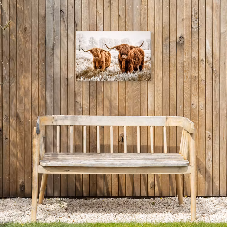 Buiten canvas - Hooglanders in de Winter — 3
