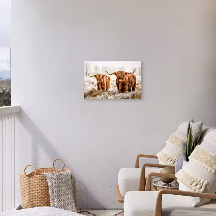 Buiten canvas - Hooglanders in de Winter — 4