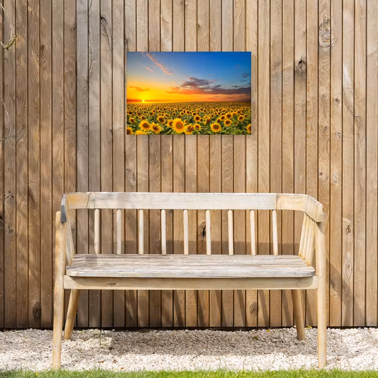 Buiten canvas - Uitgestrekt zonnebloemveld bij zonsondergang — 3