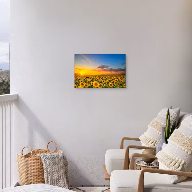 Buiten canvas - Uitgestrekt zonnebloemveld bij zonsondergang — 4