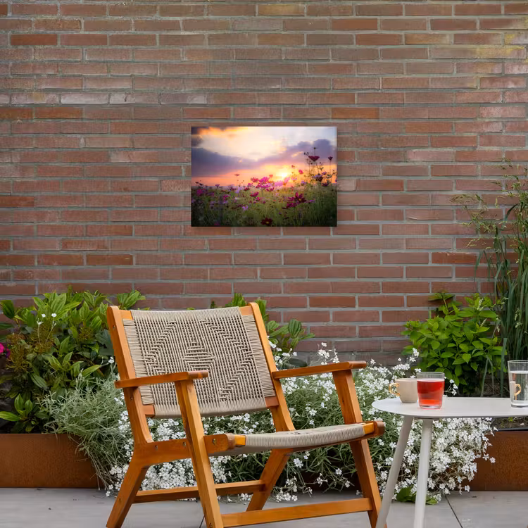 Buiten canvas - Kosmosbloemen bij zonsondergang — 2