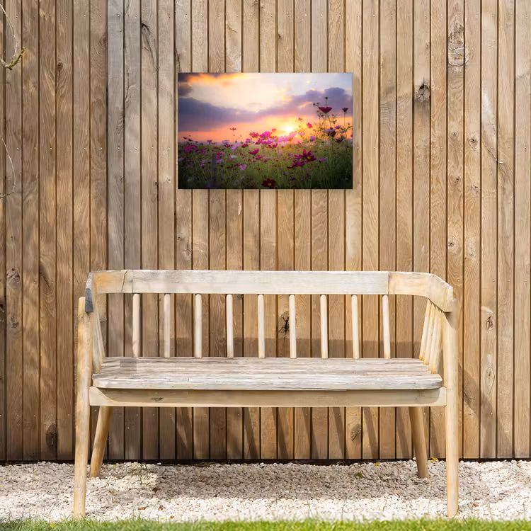 Buiten canvas - Kosmosbloemen bij zonsondergang — 3