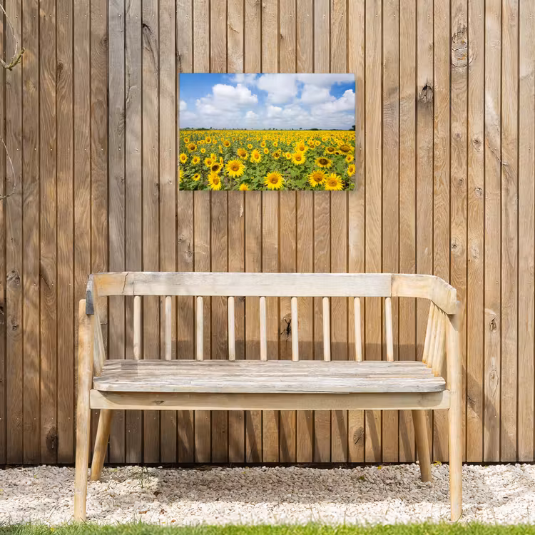 Buiten canvas - Uitgestrekt veld zonnebloemen onder een blauwe hemel — 3