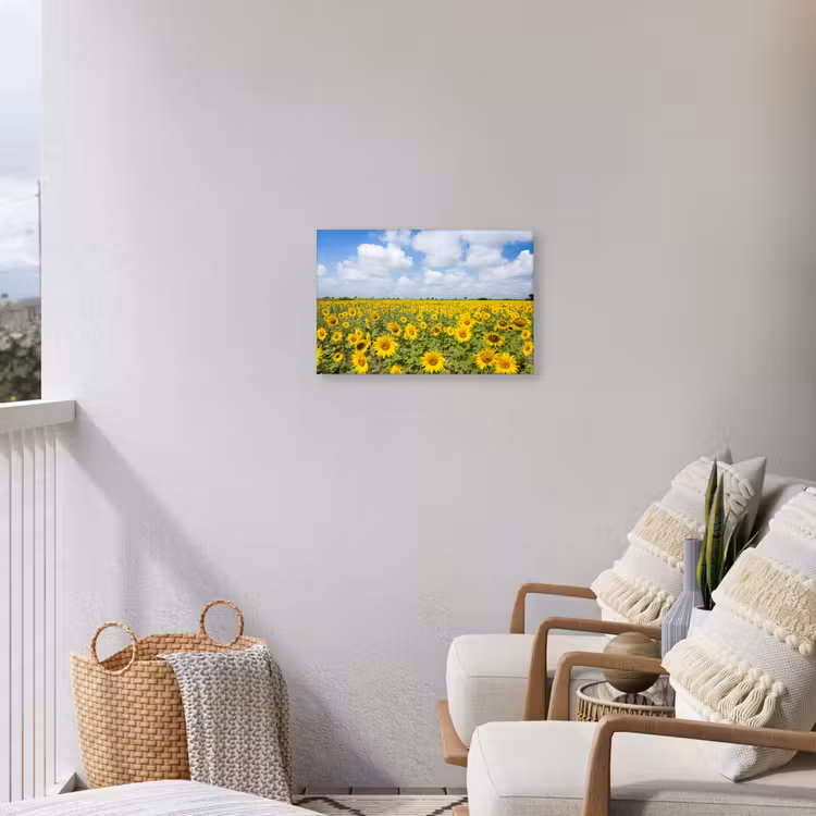 Buiten canvas - Uitgestrekt veld zonnebloemen onder een blauwe hemel — 4