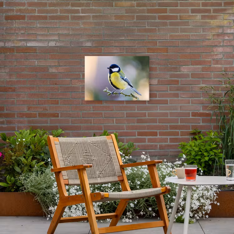 Buiten canvas - Koolmees op een Tak — 2